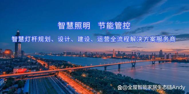 慧用电解决方案 城市照明系统PG电子麻将胡了2智慧路灯智(图7)